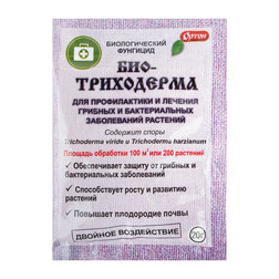 ������ ������ ������������� 20� ����� �������   ����