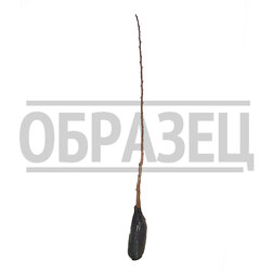 ������ ������ ������� ������������   ����