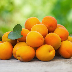 ������ ������ ������� ������� (������ �����) (� �����)   ����