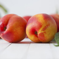 ������ ������ �������� ���� (������ �����) (� �����)   ����