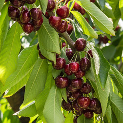 ������ ������ ������� ������������� ������� (������ ����� �����������) (� �����) (�������������)   ����