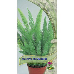 ������ ������ ��������� ������   ����