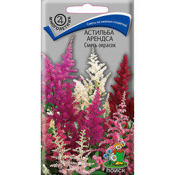 ������ ������ �������� ������� ����� �������   ����