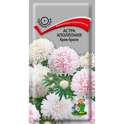 ������ ������ ����� ��������� ����-�����   ����