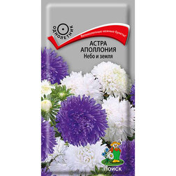 ������ ������ ����� ��������� ���� � �����   ����