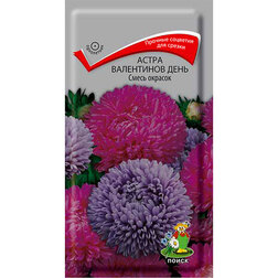 ������ ������ ����� ���������� ���� ����� �������   ����