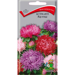 ������ ������ ����� ��� ���-�����   ����