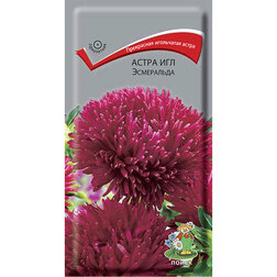 ������ ������ ����� ��� ����������   ����