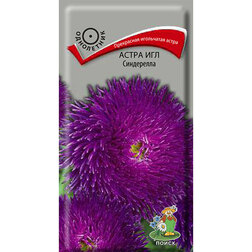 ������ ������ ����� ��� ����������   ����