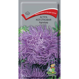 ������ ������ ����� ���������� ���������   ����