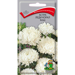 ������ ������ ����� ���� ����� �����   ����