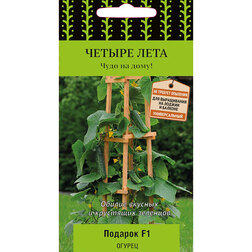 ������ ������ ������ ������� F1 (������ ����)   ����