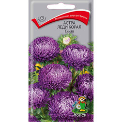 ������ ������ ����� ���� ����� �����   ����