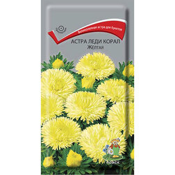 ������ ������ ����� ���� ����� Ƹ����   ����