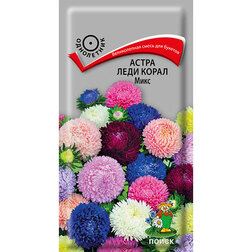 ������ ������ ����� ���� ����� ����   ����