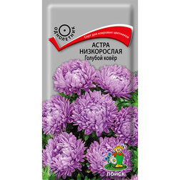 ������ ������ ����� ����������� ������� ����   ����