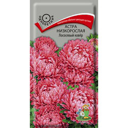 ������ ������ ����� ����������� ��������� ����   ����