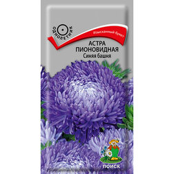 ������ ������ ����� ����������� ����� �����   ����