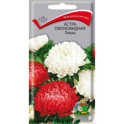 ������ ������ ����� ����������� ������   ����