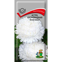 ������ ������ ����� ����������� ����� �����   ����