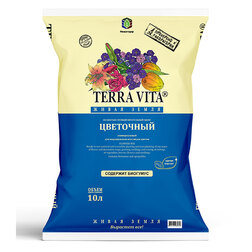 ������ ������ ����� ����� ����� ��������� (10�.)   ����