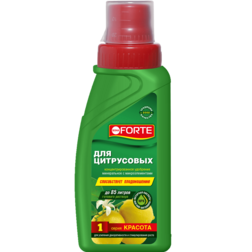 ������ ������ ������ �����. �����. ��� ���������� �������� (285��)   ����