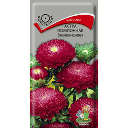 ������ ������ ����� ��������� �������-�������   ����