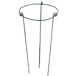 ������ ������ �������������� ���� ���������   ����