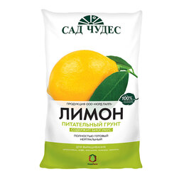 ������ ������ ����� ����� (5�) (����)   ����