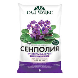 ������ ������ ����� �������� (2,5�) (����)   ����