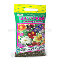 ������ ������ ����� ��������� ������������� (10�) (����)   ����