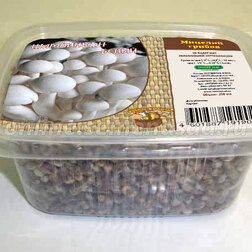 ������ ������ ������� ��������� (� ���������� �� 250 ��.)   ����