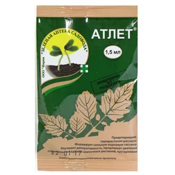 ������ ������ ����� (1�1,5��.)   ����