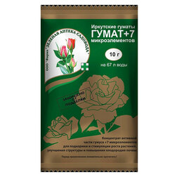 ������ ������ ����� +7 (10��.) (���������� �����)   ����