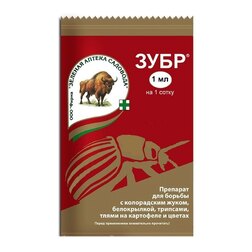 ������ ������ ���� (1��.)   ����