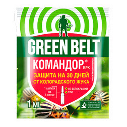 ������ ������ �������� (1��.)   ����