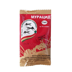 ������ ������ ������� (1��) ������ ������� (�� ������� ��������)   ����