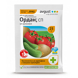 ������ ������ ����� (1�25 �. ) (�� �����������)   ����