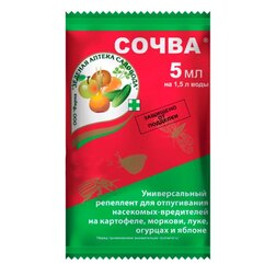 ������ ������ ����� (5��) ������ ��� �� ���������-����. �� ������� � ��������   ����