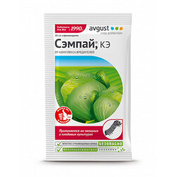 ������ ������ ������ (1�5��.)   ����