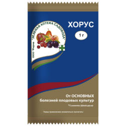 ������ ������ ����� (����� 1�)   ����