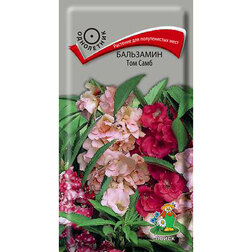 ������ ������ ��������� ��� ����   ����