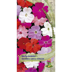 ������ ������ ��������� ������� ����� �������   ����