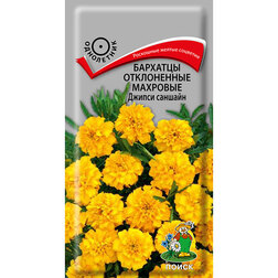 ������ ������ �������� ����������� �������� ������ �������   ����