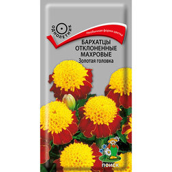 ������ ������ �������� ����������� �������� ������� �������   ����