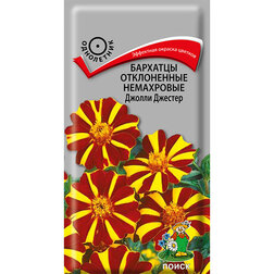 ������ ������ �������� ����������� ���������� ������ �������   ����