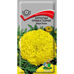 ������ ������ �������� ������������ ���� �����   ����