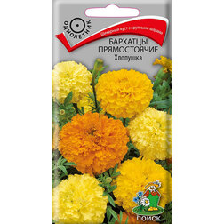 ������ ������ �������� ������������ ��������   ����