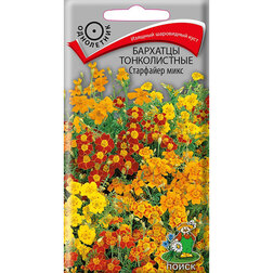 ������ ������ �������� ������������ ��������� ����   ����