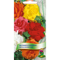 ������ ������ ������� ��������� ���� � ���������   ����